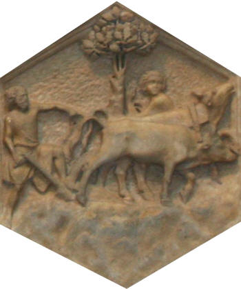 AGRICOLTURA